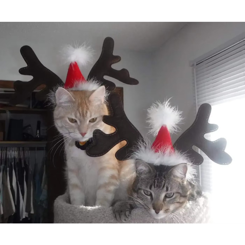 ペット用クリスマス・トナカイの角のヘッドバンド。サンタ帽付き - Reindeer Antlers Headband のレビューと価格